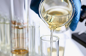 파미셀 김현수 대표, 배당금 전액으로 자사주 매입...